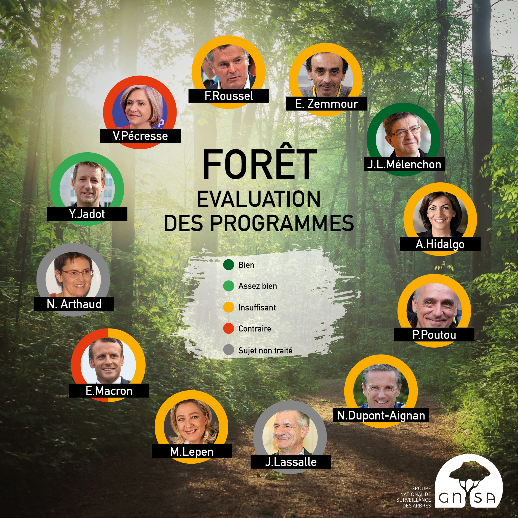 Forêt : comparatif des programmes